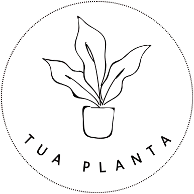 Tua Planta-Peças Decoração e Plantas