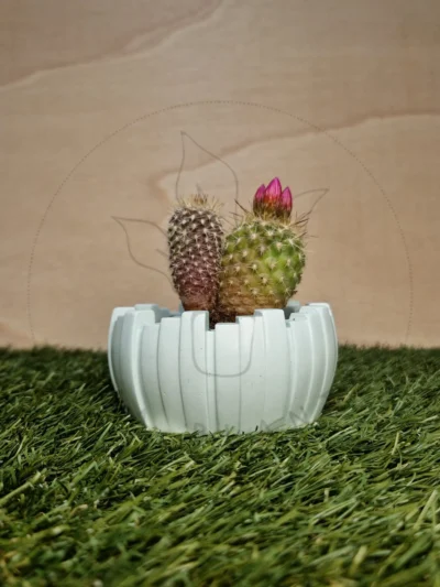 Vaso Aurora Azul