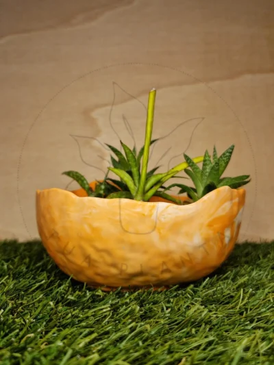 Vaso Bella – Mistura com Laranja