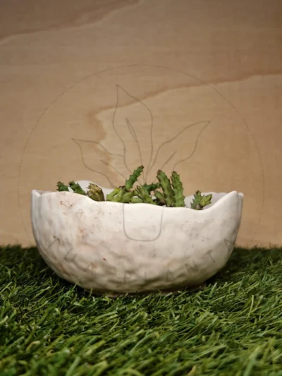 Vaso Bella – Mistura com Terracota