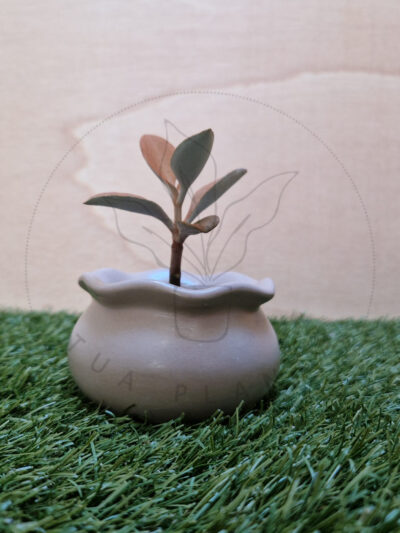Vaso Diana Castanha